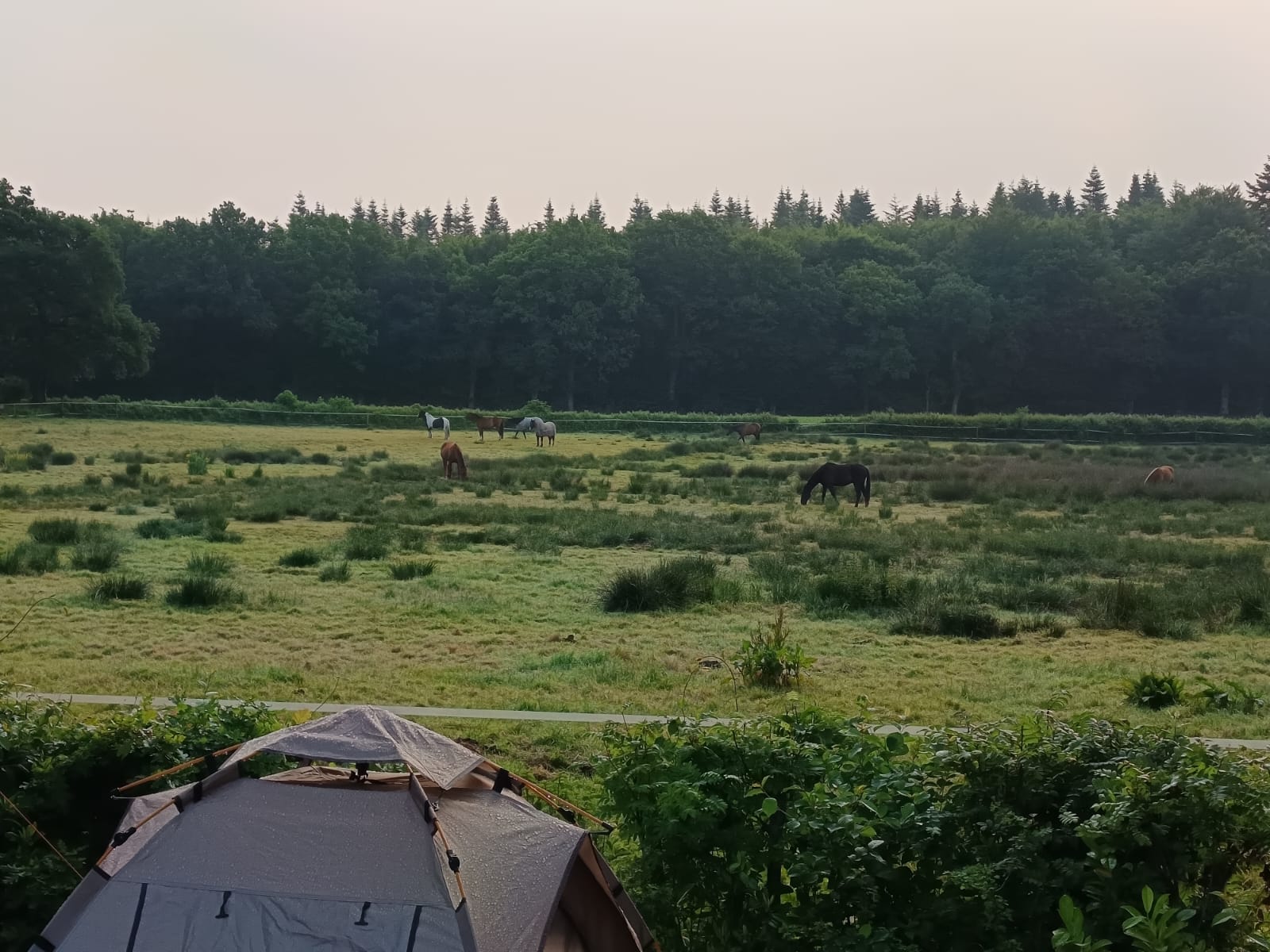 Aurich – Bild 1
