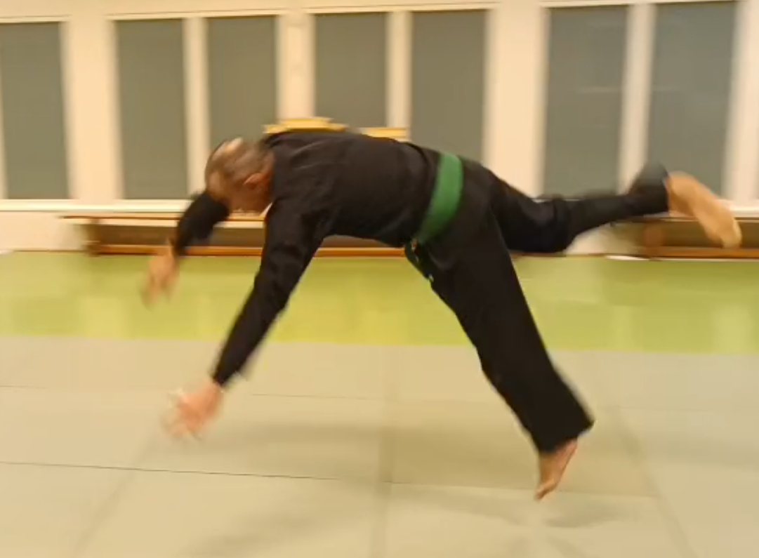 Trainer Bruno – Bild 3